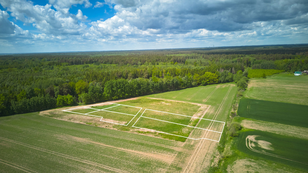 Parduodamas sklypas Stirnų g., Piliuona, 20.93 a ploto 5
