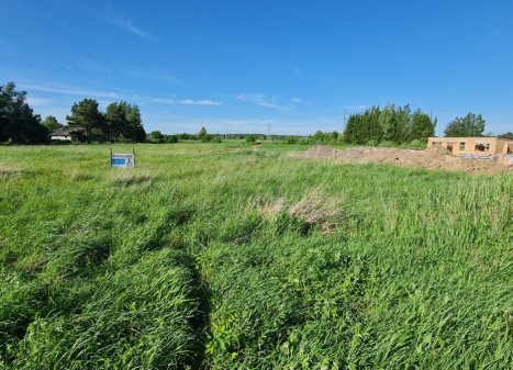 Parduodamas  sklypas Jurginų g., Mitkūnų k., Kauno r. sav., 10 a ploto
