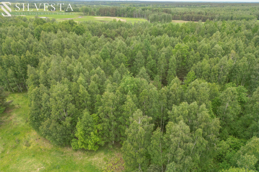 Parduodamas sklypas Antakalniai, 812 a ploto 8