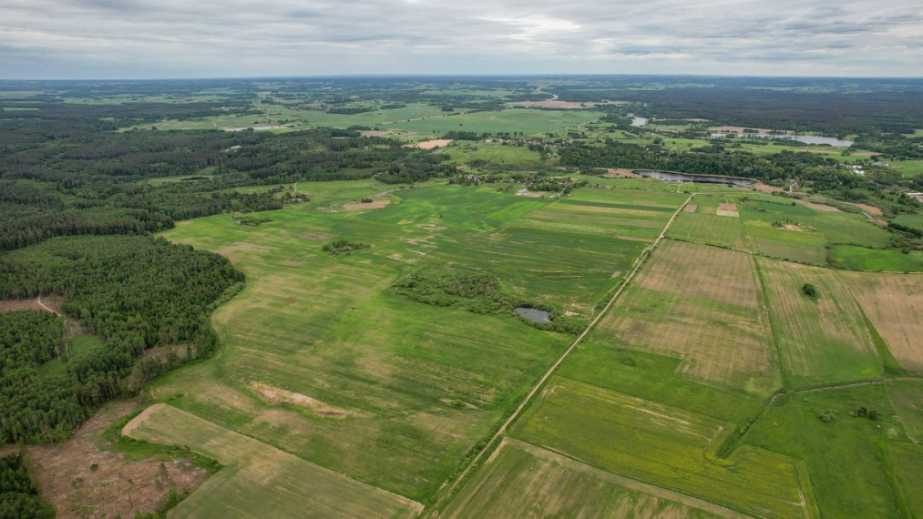 Parduodamas kitos paskirties sklypas Skėterių k., Širvintų r. sav., 2851 a ploto 11
