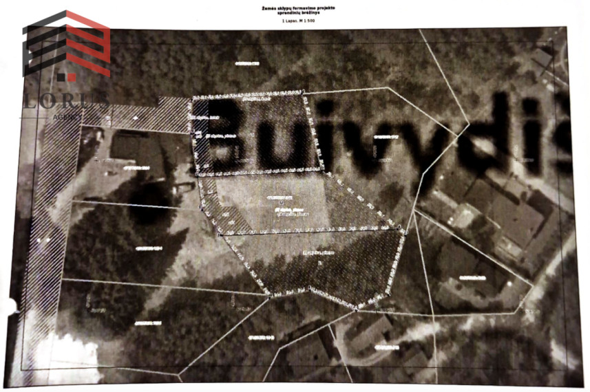 Parduodamas  sklypas Buivydiškių g., Buivydiškių k., Vilniaus r. sav., 3500 a ploto 10
