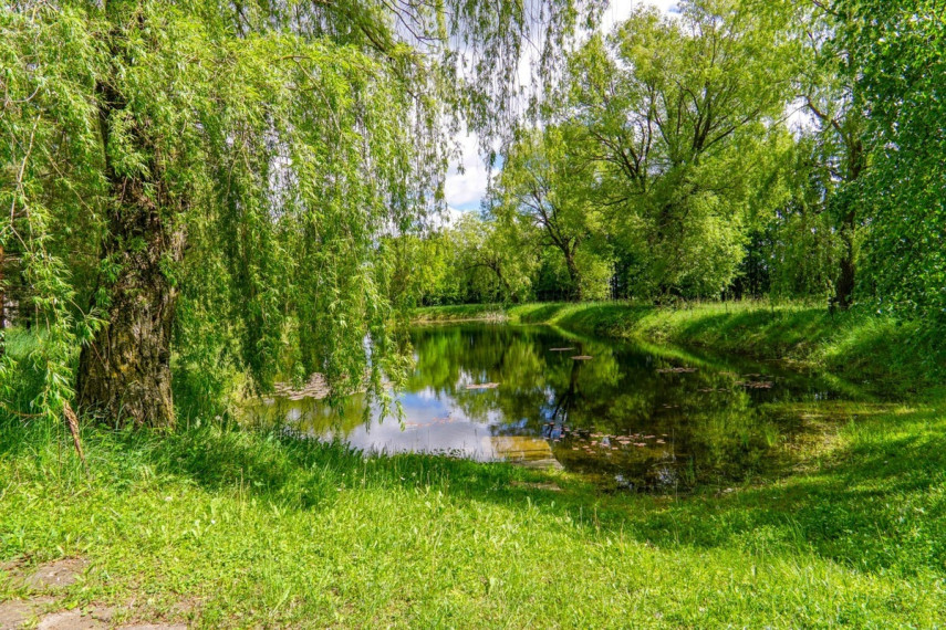 Parduodamas butas Šiaulių g., Algirdiškio k., Panevėžio r. sav., 56.84 m2 ploto, 3 kambariai 25
