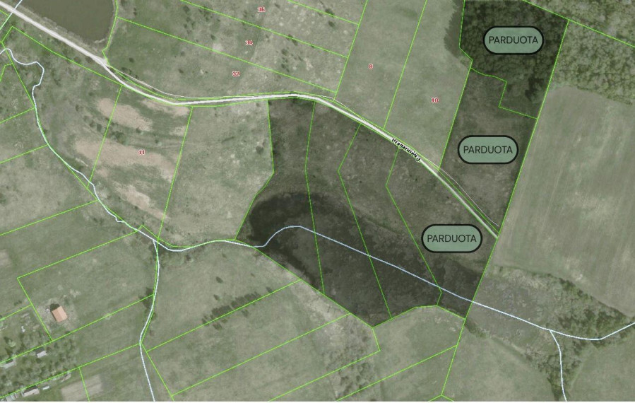 Parduodamas sklypas Kernavės mstl., Širvintų r. sav., 100.27 a ploto 15