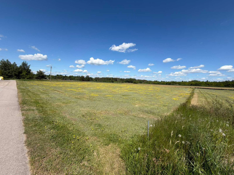 Parduodamas  sklypas Beržų g., Bubių k., Kauno r. sav., 42 a ploto 10