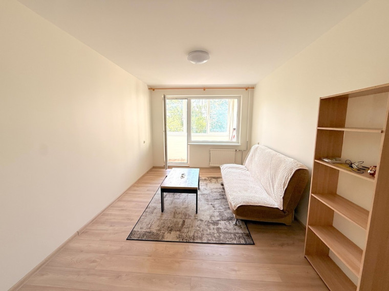 Nuomojamas butas Rinktinės g., Šnipiškės, Vilniaus m., Vilniaus m. sav., 47 m2 ploto, 2 kambariai 3