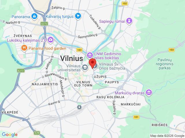 Nuomojamas butas Šv. Mykolo g., Vilniaus m., Vilniaus m. sav., 54 m2 ploto, 1 kambariai 13