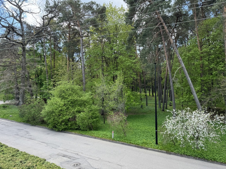 Parduodamas namas Pušyno g., Alytaus m., Alytaus m. sav., 360.45 m2 ploto, 2 aukštai 26