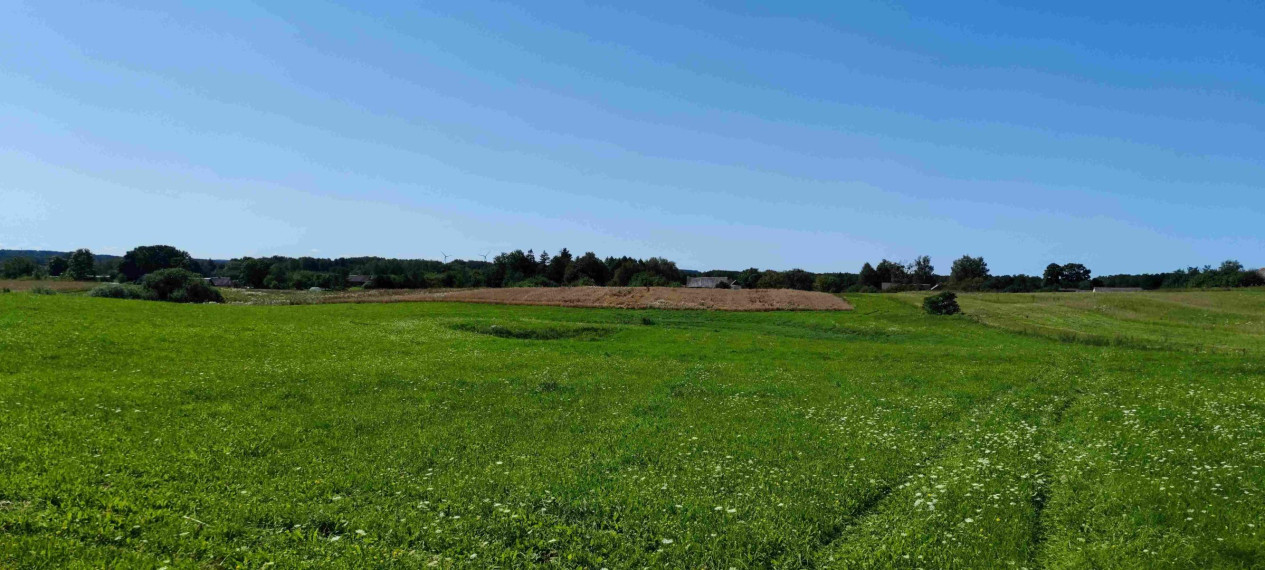Parduodamas sklypas Lankavos g., Noragėlių k., Lazdijų r. sav., 549.25 a ploto 3
