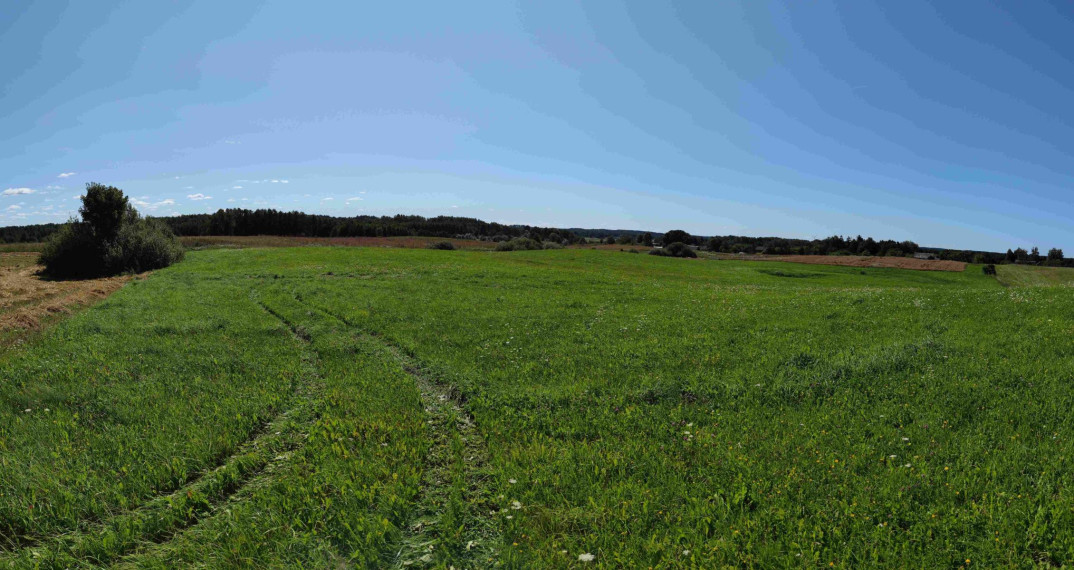 Parduodamas sklypas Lankavos g., Noragėlių k., Lazdijų r. sav., 549.25 a ploto 4