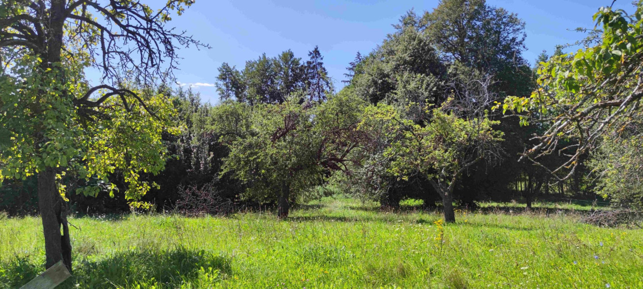 Parduodamas sklypas Lankavos g., Noragėlių k., Lazdijų r. sav., 549.25 a ploto 5