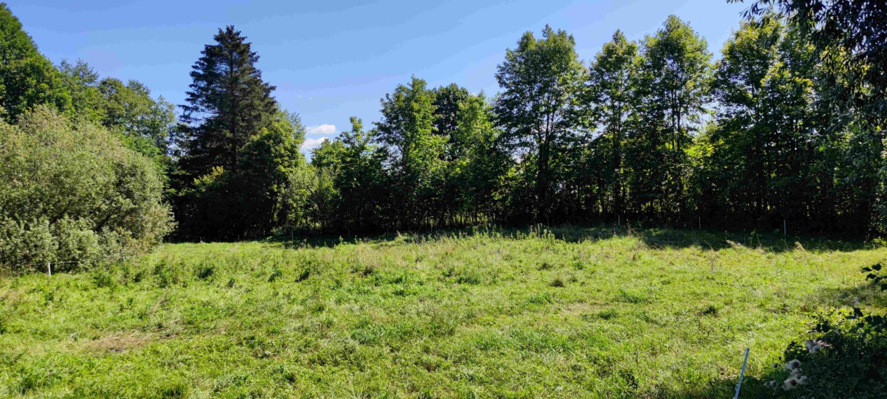 Parduodamas sklypas Lankavos g., Noragėlių k., Lazdijų r. sav., 549.25 a ploto 6
