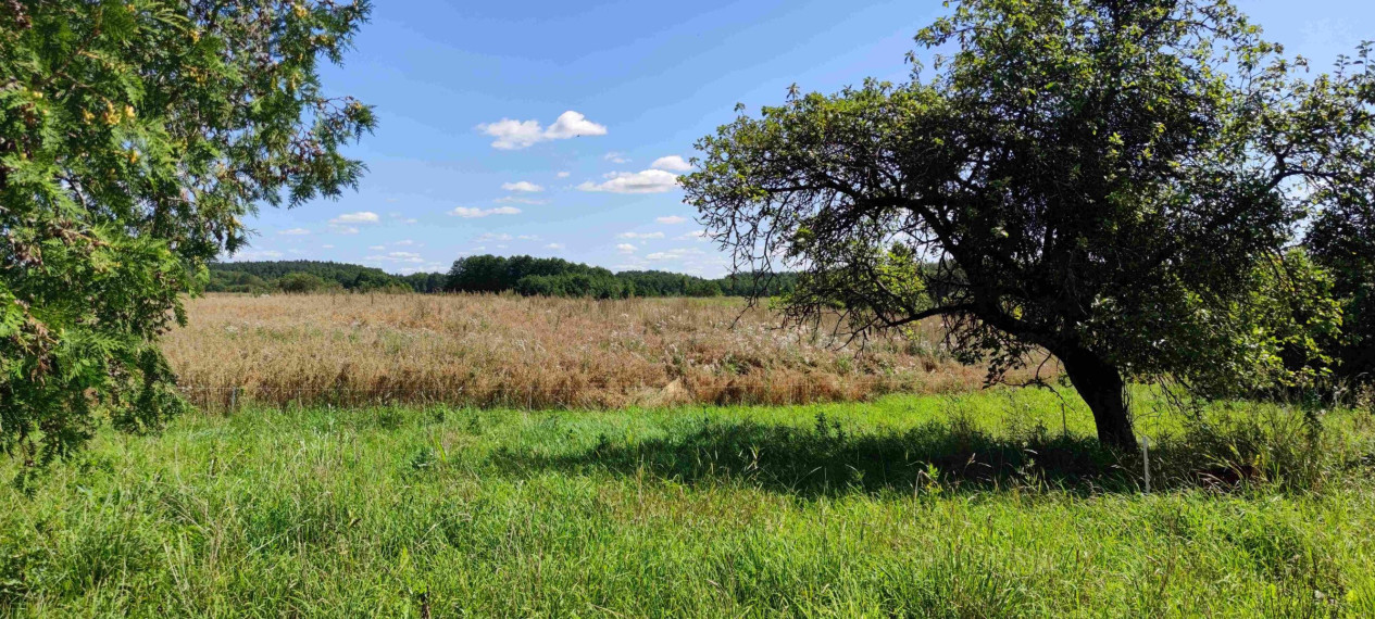Parduodamas sklypas Lankavos g., Noragėlių k., Lazdijų r. sav., 549.25 a ploto 7