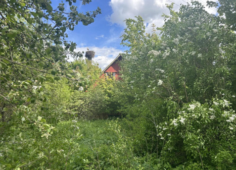 Parduodamas namas Naujoji g., Vilučių k., Utenos r. sav., 13.70 m² ploto 5 kambariai