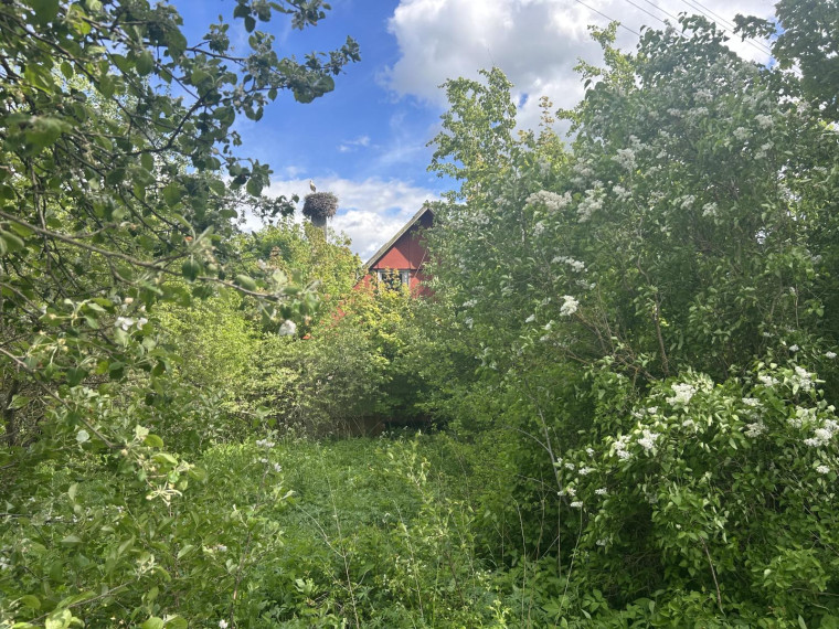 Parduodamas namas Naujoji g., Vilučių k., Utenos r. sav., 13.70 m² ploto 5 kambariai 1