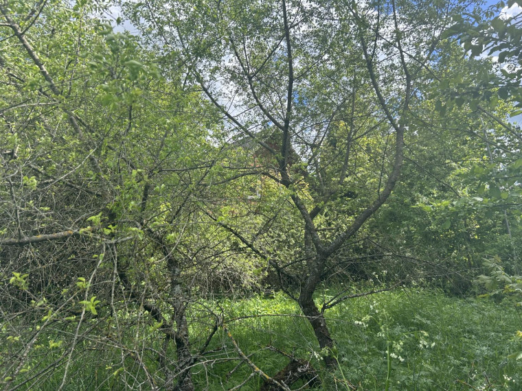 Parduodamas namas Naujoji g., Vilučių k., Utenos r. sav., 13.70 m² ploto 5 kambariai 2