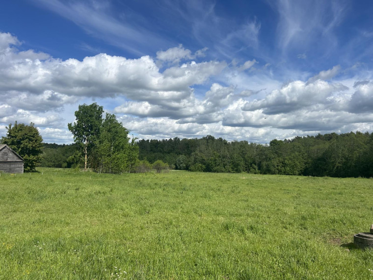 Parduodamas namas Naujoji g., Vilučių k., Utenos r. sav., 13.70 m² ploto 5 kambariai 3
