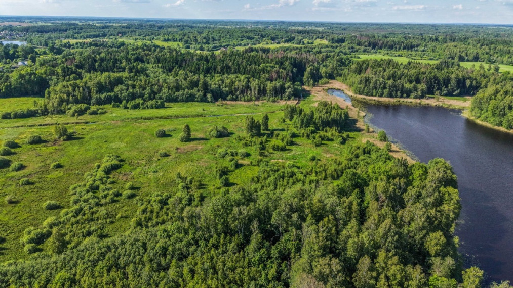 Parduodamas  sklypas Dūkštelių k., Vilniaus r. sav., 344.31 a ploto 5
