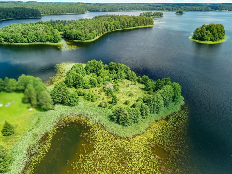 Parduodamas sklypas Skeldų k., Zarasų r. sav., 74.00 a ploto 1