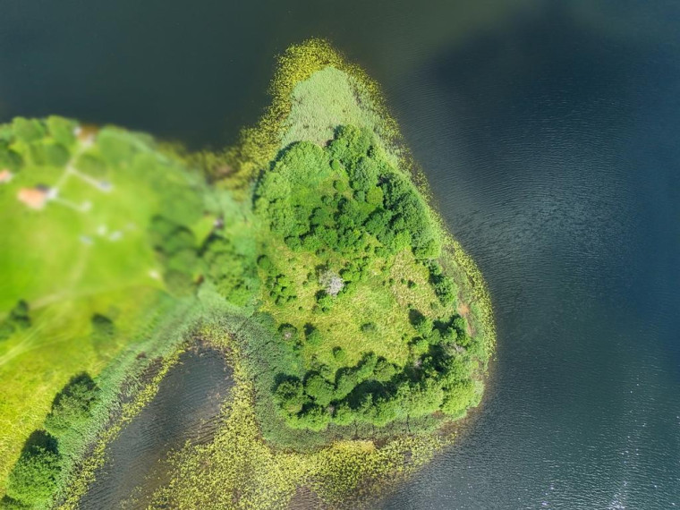 Parduodamas sklypas Skeldų k., Zarasų r. sav., 74.00 a ploto 3