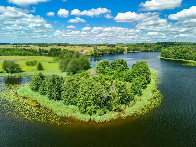 Parduodamas sklypas Skeldų k., Zarasų r. sav., 74.00 a ploto 10