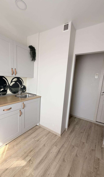 Parduodamas butas Klaipėdos apskritis, Klaipėda, Bandužiai, Budelkiemio g., 55 m2 ploto, 2 kambariai 2