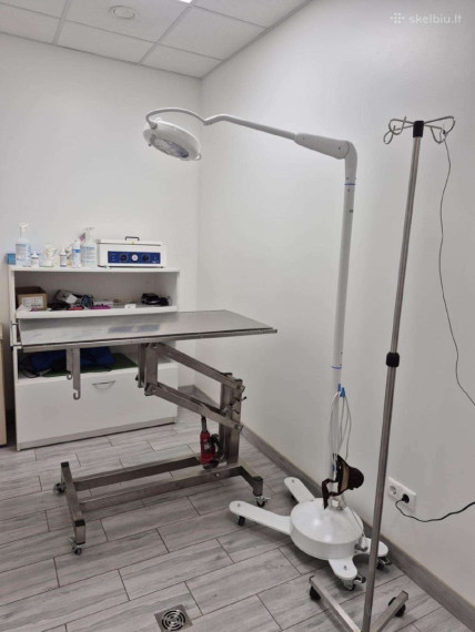 Parduodamas namas Čekiškės g., Vilkijos m., Kauno r. sav., 277.55 m2 ploto, 1 aukštai 19
