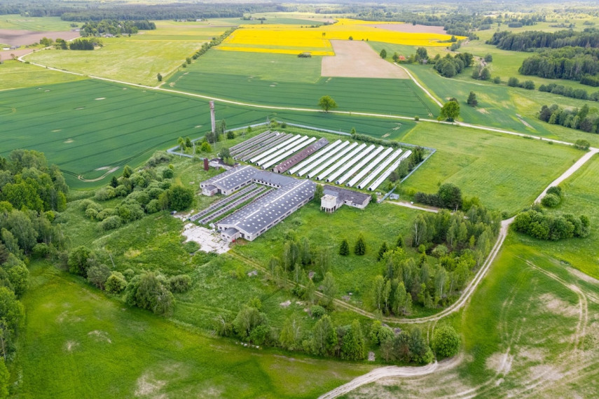Parduodamos gamybinės, kitos paskirties, sandėliavimo patalpos Širvintų r. sav., Vaitkuškės k., 3596 m2 ploto 12