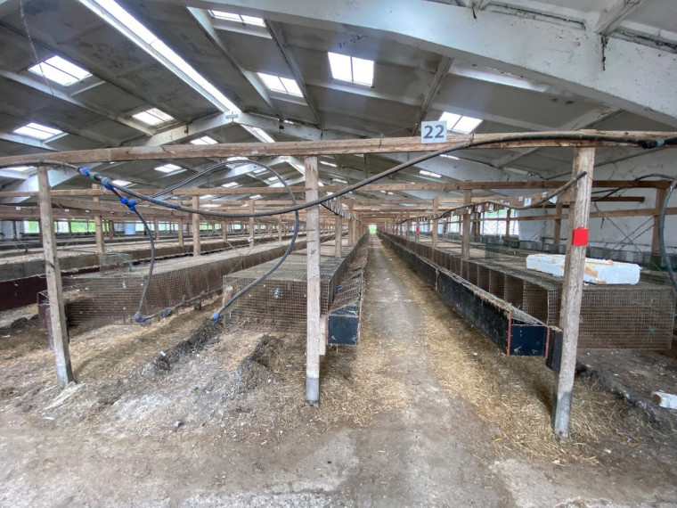Parduodamos gamybinės, kitos paskirties, sandėliavimo patalpos Širvintų r. sav., Vaitkuškės k., 3596 m2 ploto 20