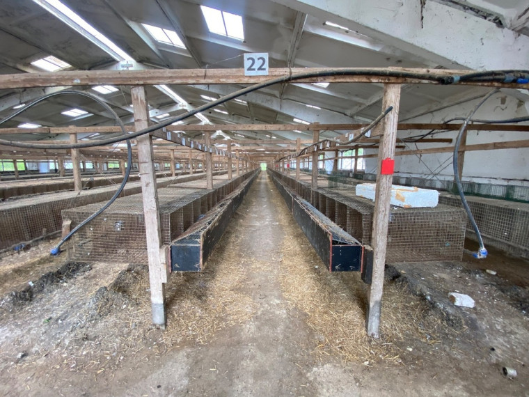 Parduodamos gamybinės, kitos paskirties, sandėliavimo patalpos Širvintų r. sav., Vaitkuškės k., 3596 m2 ploto 21