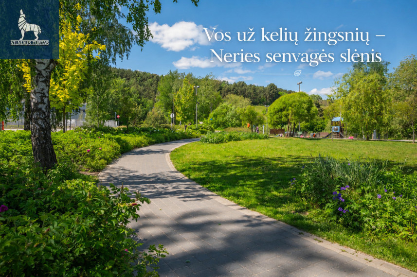 Parduodamas butas Linkmenų g., Šnipiškės, Vilniaus m., Vilniaus m. sav., 33.8 m2 ploto, 1 kambariai 19