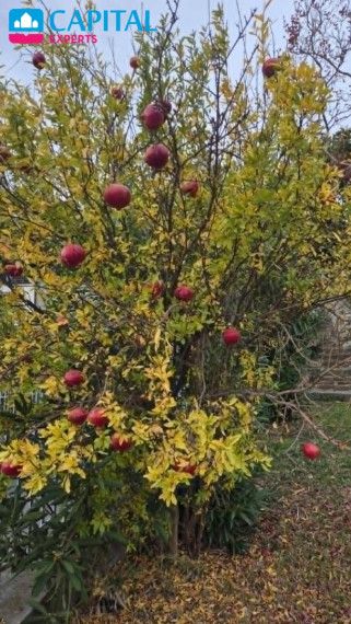Parduodamas 5 kambarių namas su vaizdu į kalnus ir jūrą Ligūrjoje (Šiaurės Italija) 10