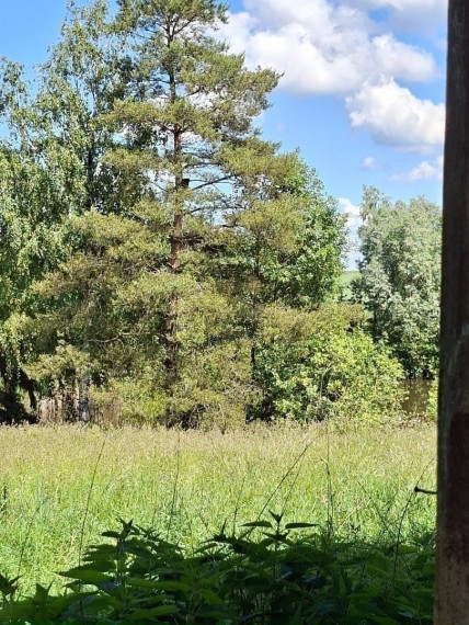 Parduodamas namas Žuvinto g., Riečių k., Marijampolės sav., 103.78 m2 ploto, 1 aukštai 10