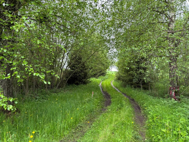 Parduodamas namas Lemantaučiznos vs., Širvintų r. sav., 63 m² ploto 3 kambariai 15