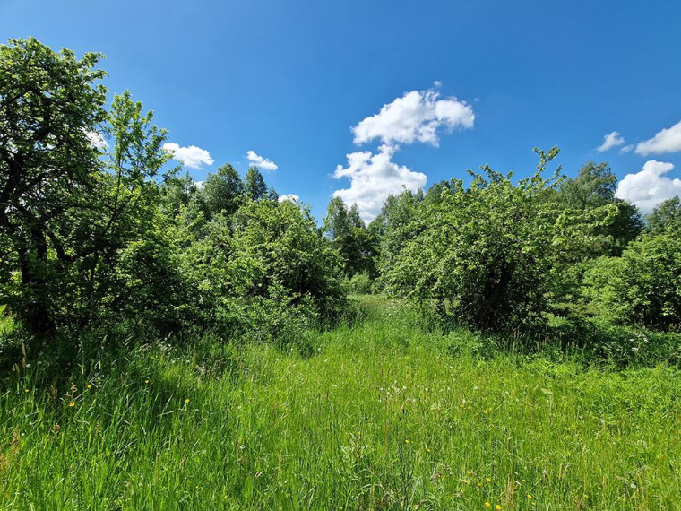 Parduodamas namas Antalgės k., Utenos r. sav., 62 m² ploto 3 kambariai 15