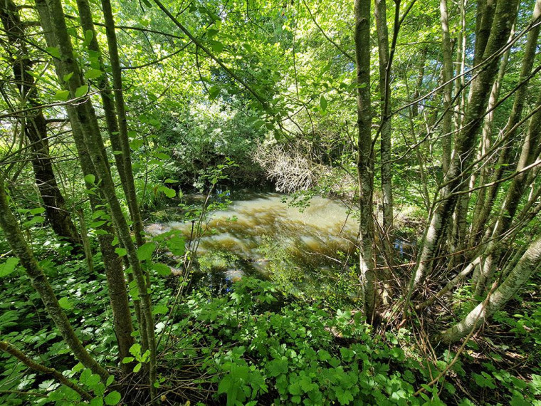 Parduodamas namas Antalgės k., Utenos r. sav., 62 m² ploto 3 kambariai 16