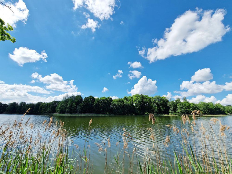 Parduodamas namas Antalgės k., Utenos r. sav., 62 m² ploto 3 kambariai 4