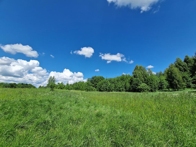 Parduodamas namas Antalgės k., Utenos r. sav., 62 m² ploto 3 kambariai 7