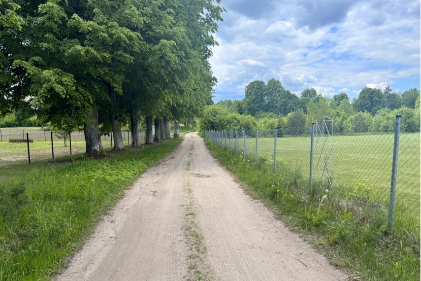 20 arų sklypo dalis su pamatais Trakų r., Vištelionių k. 16