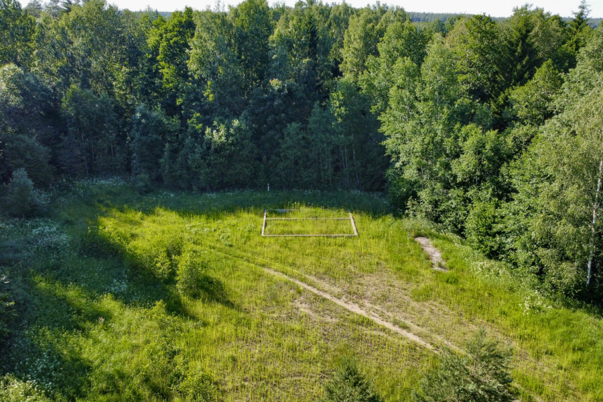 20 arų sklypo dalis su pamatais Trakų r., Vištelionių k. 6