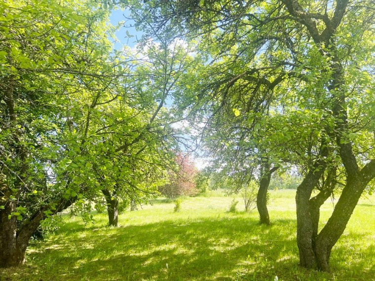 Parduodamas namas Trečiūnų k., Švenčionių r. sav., 57.03 m² ploto 1 kambarys 20