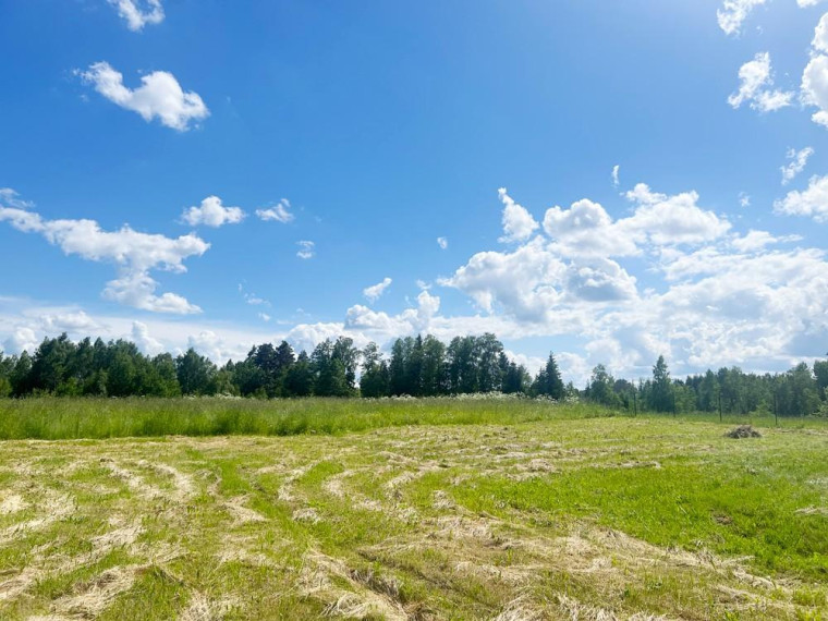 Parduodamas namas Trečiūnų k., Švenčionių r. sav., 57.03 m² ploto 1 kambarys 22