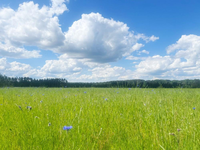 Parduodamas namas Trečiūnų k., Švenčionių r. sav., 57.03 m² ploto 1 kambarys 24