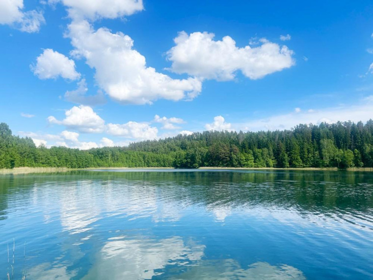 Parduodamas namas Trečiūnų k., Švenčionių r. sav., 57.03 m² ploto 1 kambarys 26