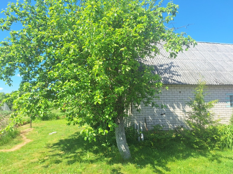 Parduodamas namas Mokyklos g., Mažųjų Rūšupių k., Skuodo r. sav., 122.54 m2 ploto, 2 aukštai 23