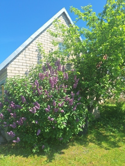 Parduodamas namas Mokyklos g., Mažųjų Rūšupių k., Skuodo r. sav., 122.54 m2 ploto, 2 aukštai 28