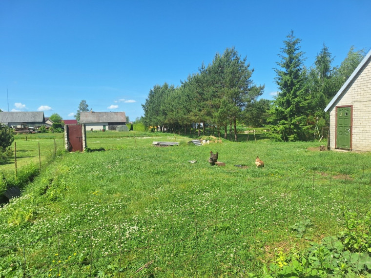 Parduodamas namas Mokyklos g., Mažųjų Rūšupių k., Skuodo r. sav., 122.54 m2 ploto, 2 aukštai 31