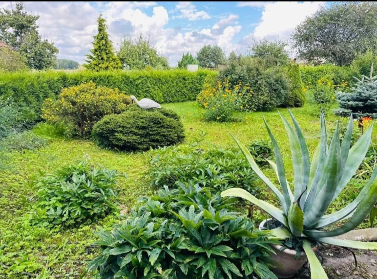 Parduodamas namas Mokyklos g., Mažųjų Rūšupių k., Skuodo r. sav., 122.54 m2 ploto, 2 aukštai 33