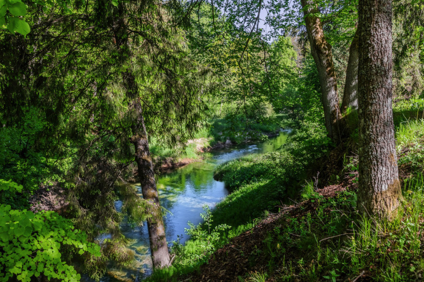 Parduodamas namas Malūno g., Laukžemės k., Kretingos r. sav., 339.64 m2 ploto, 2 aukštai 5
