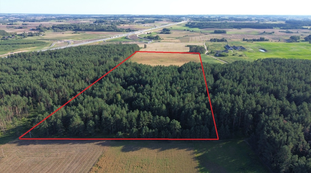 Parduodamas  sklypas Brazavo k., Kalvarijos sav., 902.75 a ploto 1