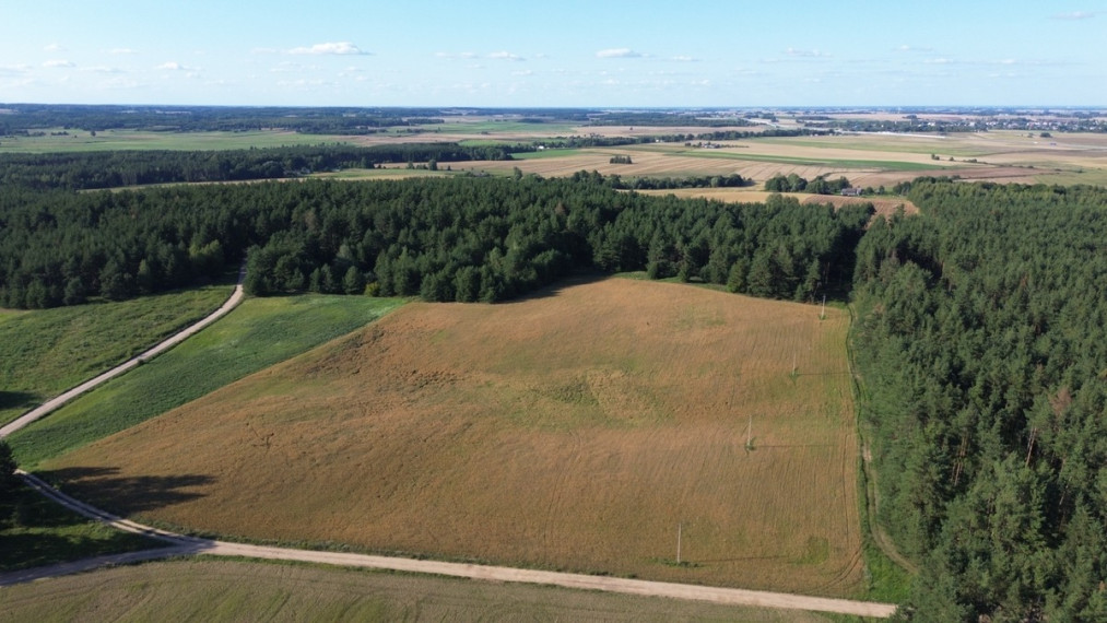 Parduodamas  sklypas Brazavo k., Kalvarijos sav., 902.75 a ploto 2